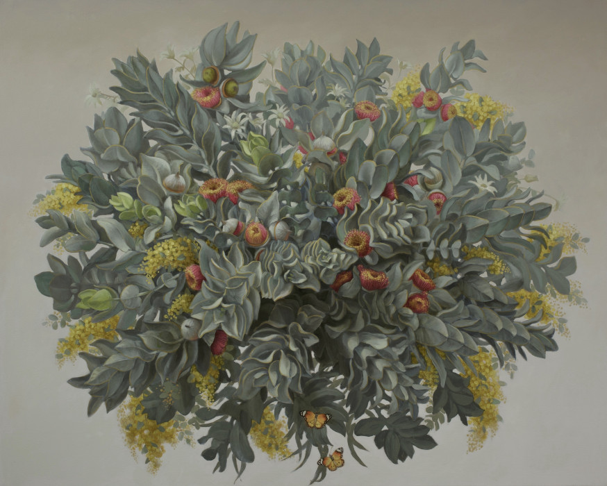 Eucalyptus Macrocarpa 2024 SOLD