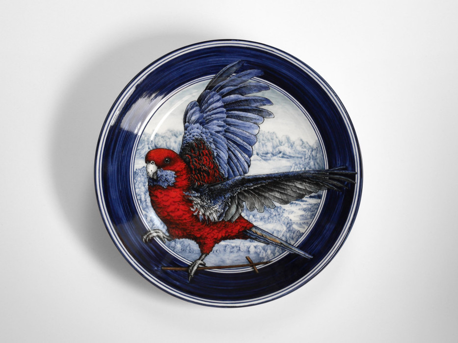 Crimson rosella 2023