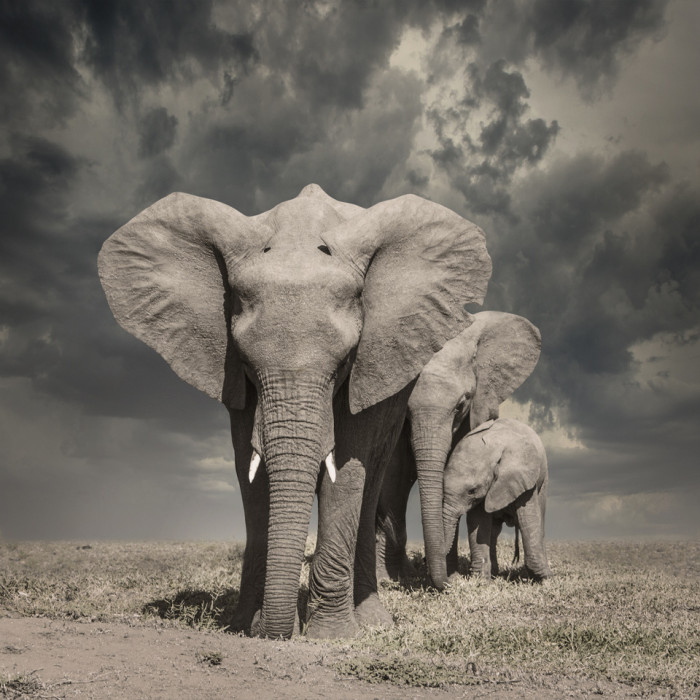 Pamela Pauline - Rest