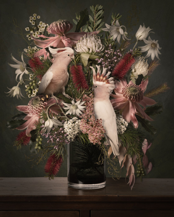 Pamela Pauline - On Wednesdays we Wear Pink