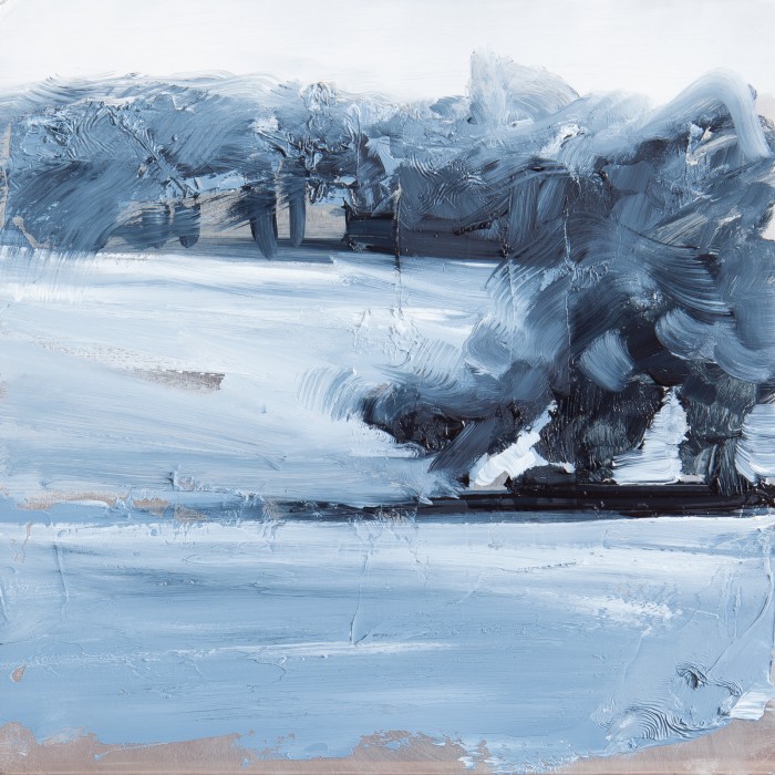 Untitled XVII 2013