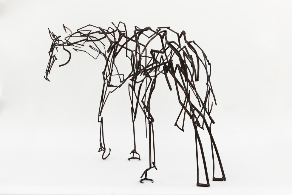 Harrie Fasher - Essington Horse SOLD