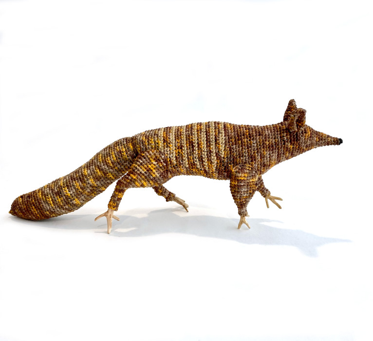 Mikaela Castledine - Running Numbat