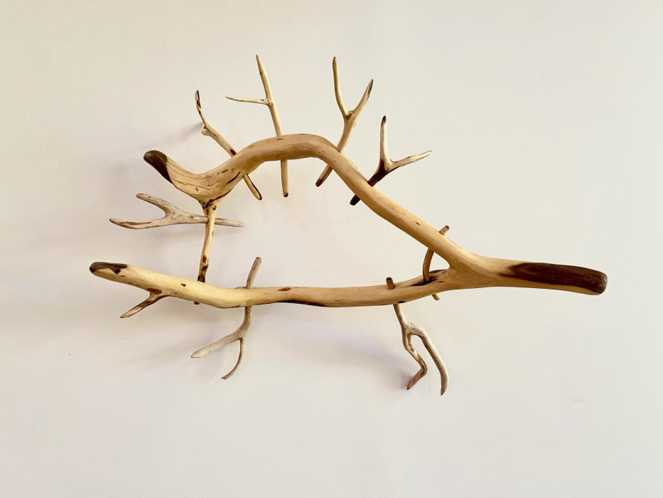 Mikaela Castledine - Spine