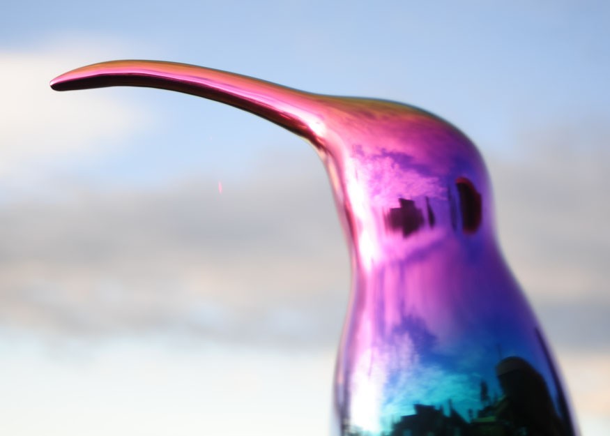 Ted Secombe -  Rainbow Birds