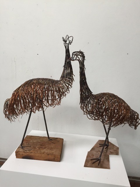 Jane Dawson - Emus