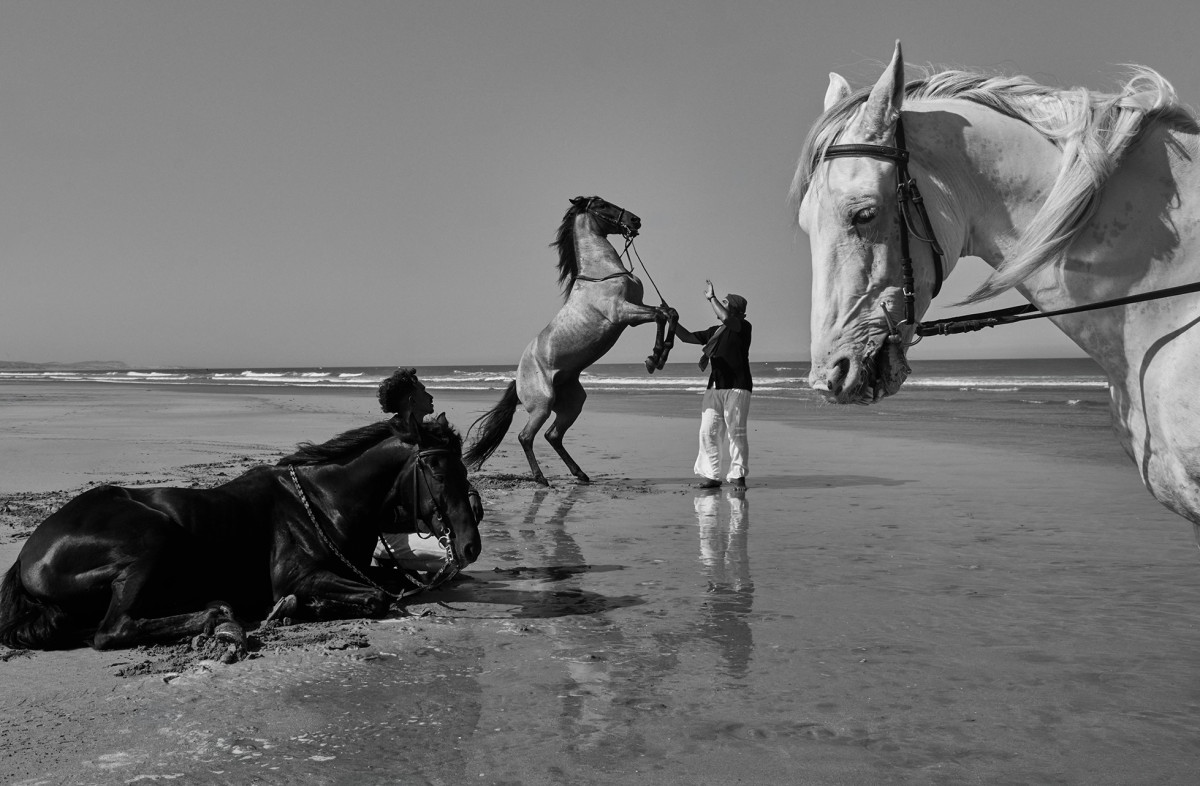 Essaouira Cowboys, Morocco #2