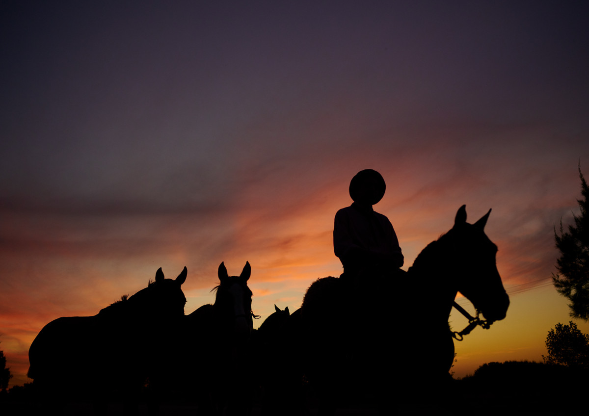 Gaucho, San Antonio de Areco #5