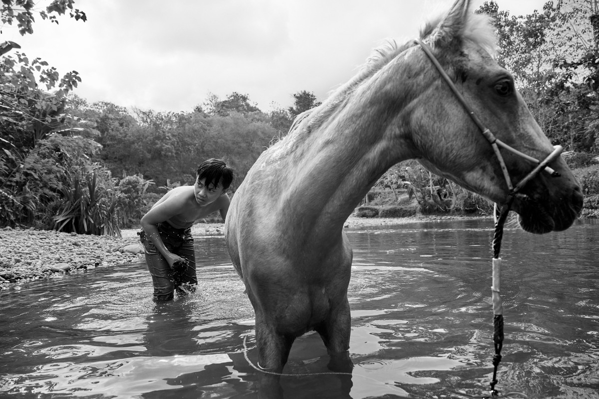 Sandlewood Pony, Sumba #1