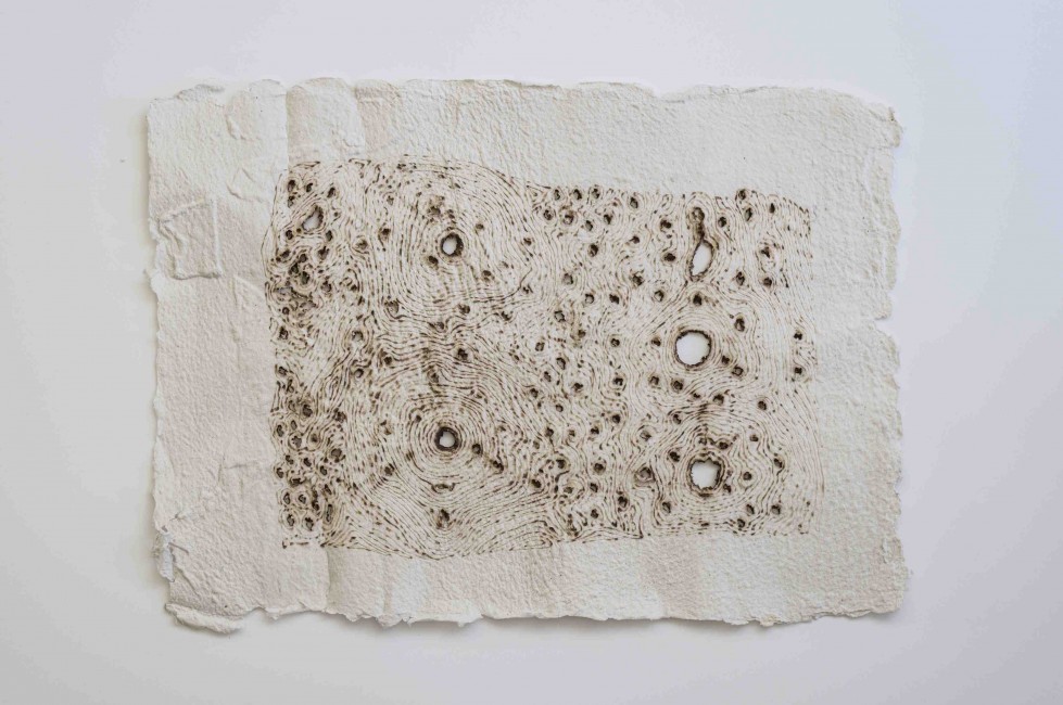 Untitled (Ancient Paper II)