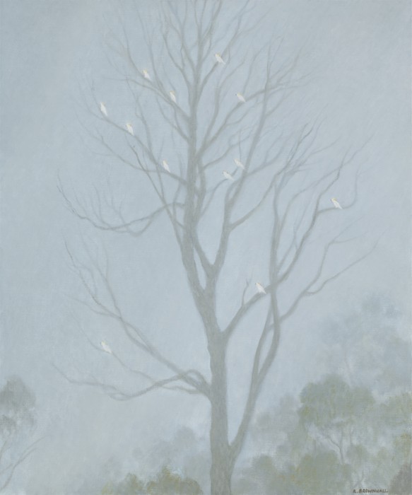 Cockatoos in the Rain