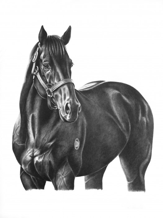 Sarah Bishop - Pierro