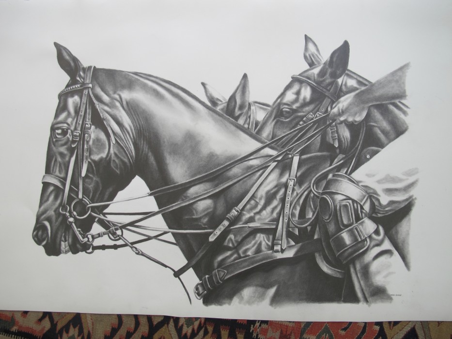 Sarah Bishop - Polo I