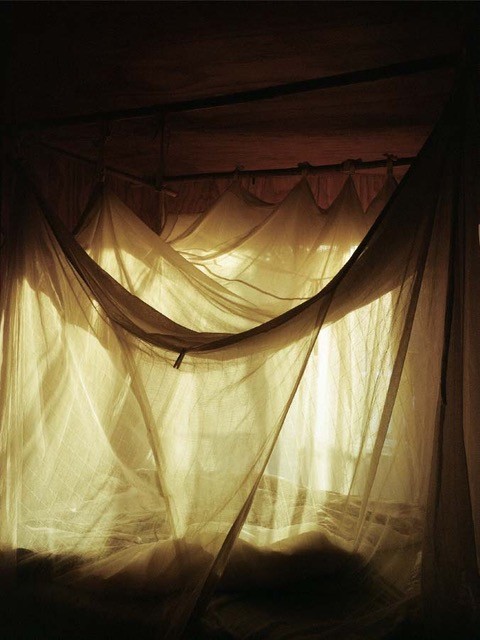 Mosquito Net