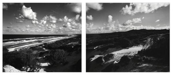 William Yang 'Stradbroke island #1'