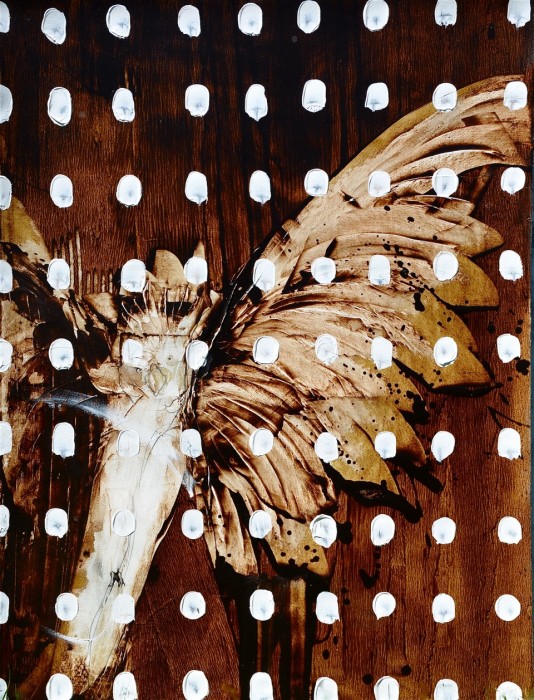 The Spotted Owl