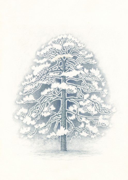Tree Spirit. Nijo - Jo Castle