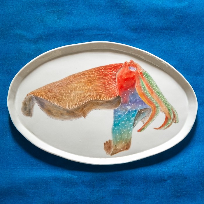 Australian Giant Cuttlefish 2022 SOLD