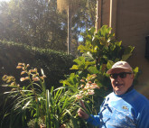 In the garden.