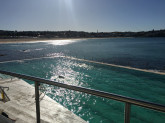 We've really been enjoying our Winter swimming this year.